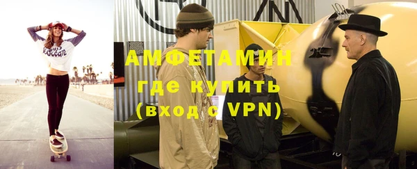 соль ск Дмитриев