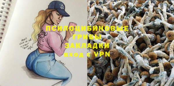 индика Алексин