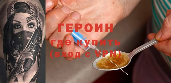индика Алексин