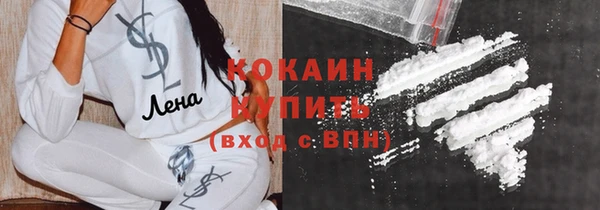 индика Алексин