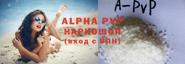 индика Алексин