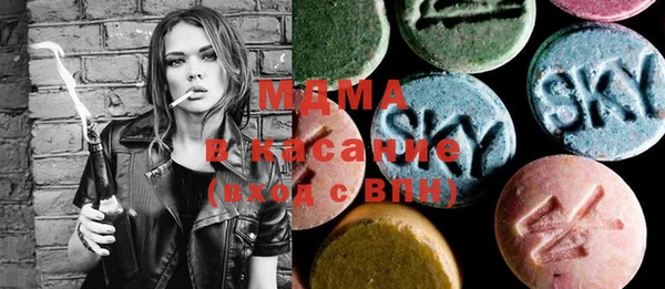 индика Алексин