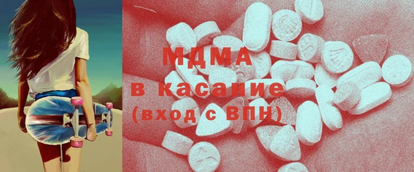 индика Алексин