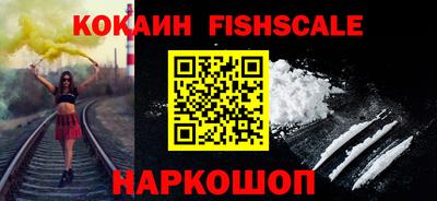 крисы Моздок
