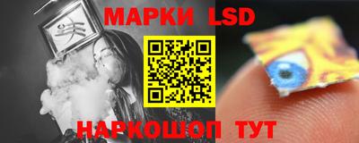крисы Моздок