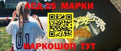 крисы Моздок