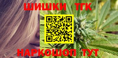 крисы Моздок