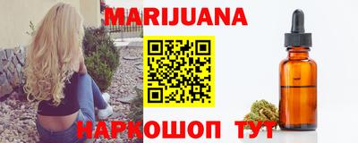 крисы Моздок