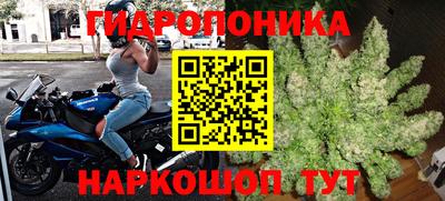 крисы Моздок
