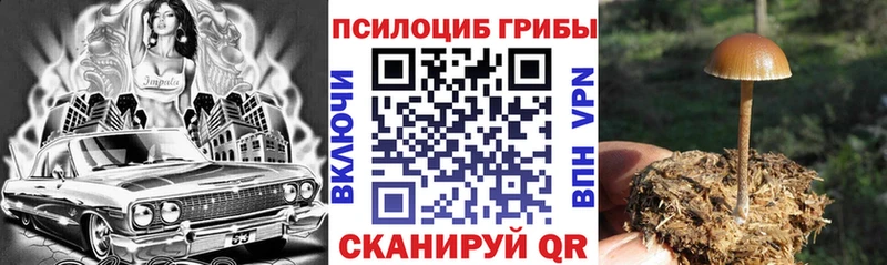 Галлюциногенные грибы прущие грибы  Бахчисарай 
